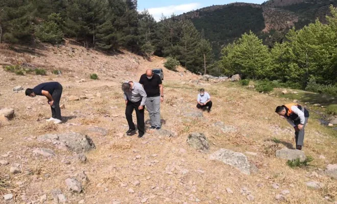 İslahiye’de çekirge mücadelesi başarılı oldu