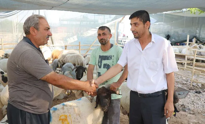 Kurban pazarlarında sıkı “pazarlık” yapılıyor