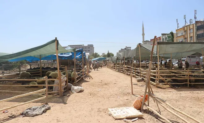 Kurbanlıklar elde kaldı