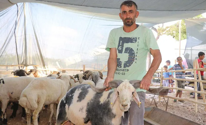 Kurban Bayramı’nda vatandaşın kurbanlık tercihi küçükbaş oldu