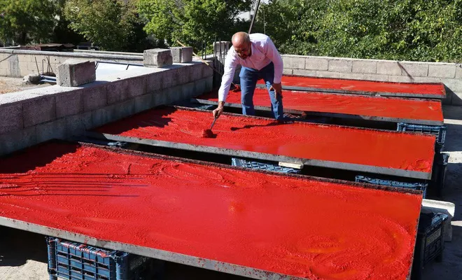 Gaziantep’te yoğun salça mesaisi