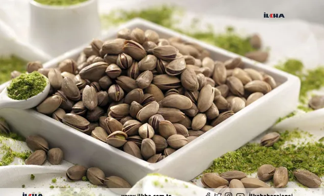 En fazla Antep fıstığı ihraç edildi