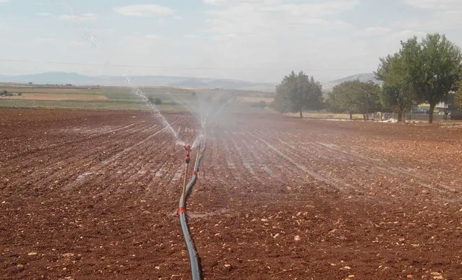 Bilinçsiz sulama toprağa ve ürüne zarar veriyor