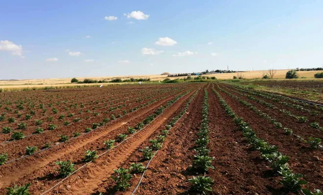 Tarımsal sulamada çiftçiler destekleniyor