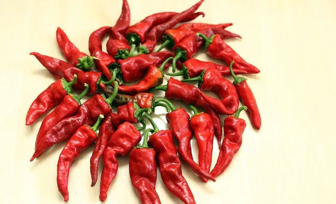 Gaziantep’in “İslahiye biberi” tescillendi