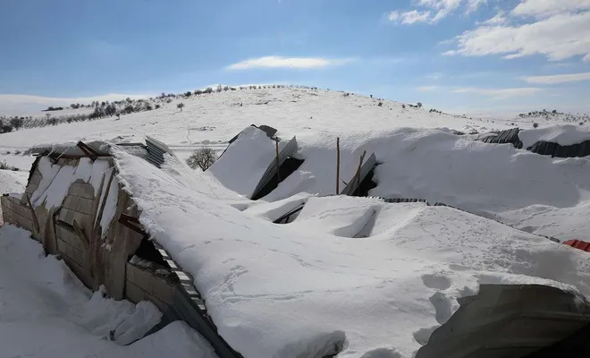 Gaziantep’te ahırları çöken hayvan yetiştiricilerine yem desteği verilecek