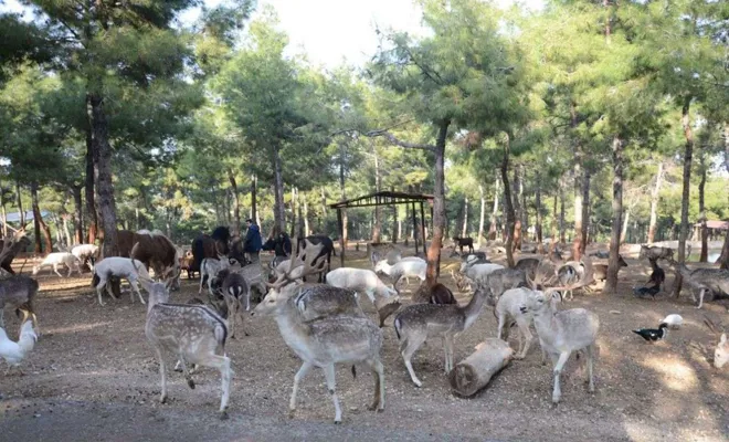 Gaziantep Doğal Yaşam Parkı’nın 2022 hedefi 7 milyon ziyaretçi