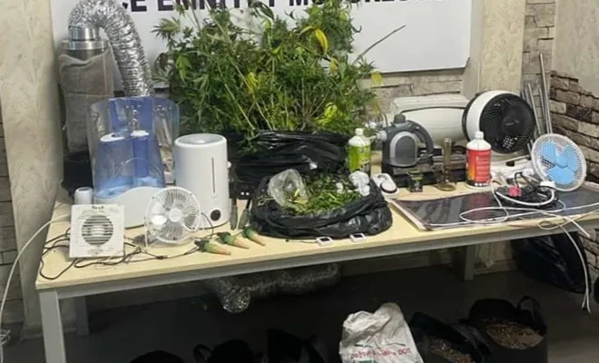 Evine özel sera sistemi kurarak uyuşturucu yetiştiren şahıs gözaltına alındı