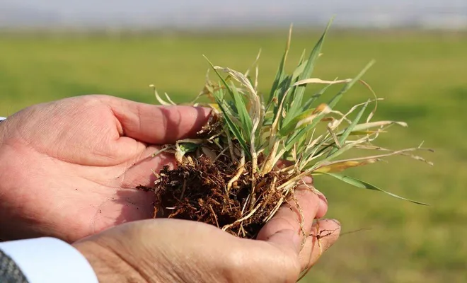 Gaziantep’te kuraklık endişesi