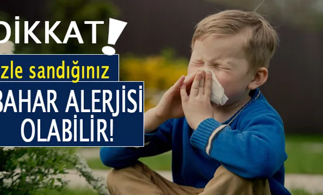 Nezle sandığınız bahar alerjisi olabilir!