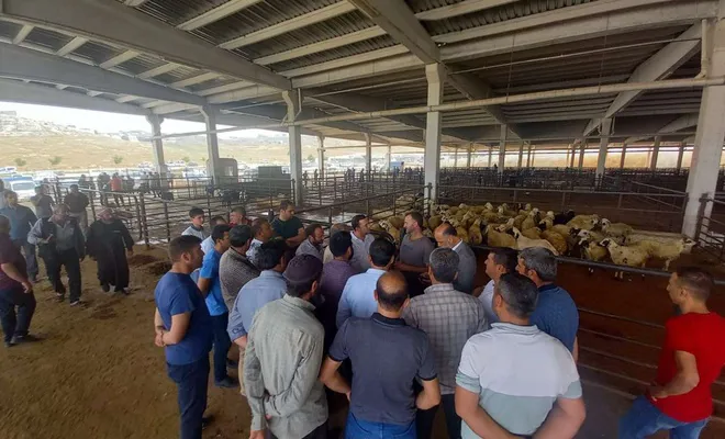 Hayvan yetiştiricilerinden hükümete çağrı