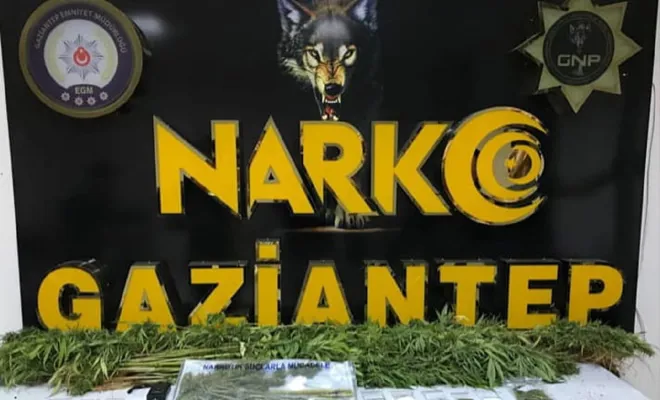Gaziantep’te uyuşturucu operasyonunda 15 kişi tutuklandı