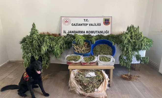 Jandarma'dan uyuşturucu operasyonu