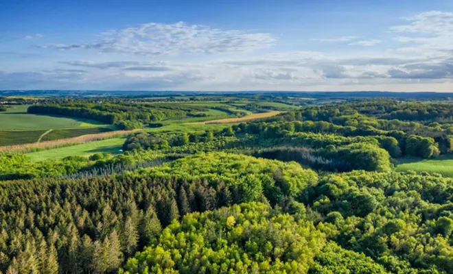 Gaziantep’te ormanlık alanlara girişler yasaklandı 