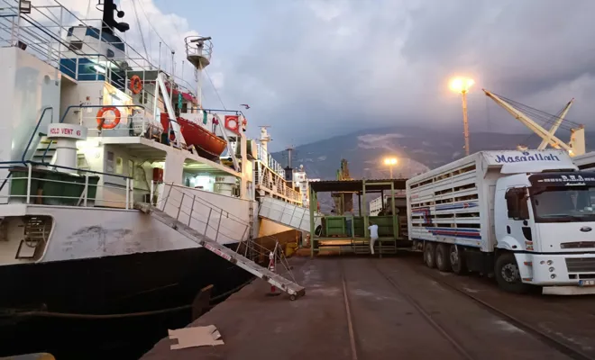 Gaziantep’ten canlı hayvan ihracatı başladı