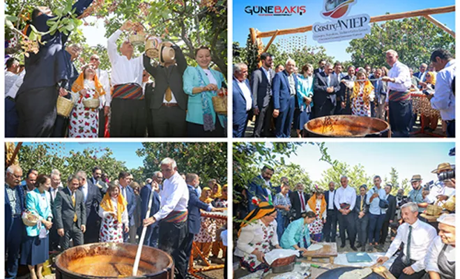 Gastroantep festivali, Antep fıstığı hasadı ve şire yapımı ile başladı