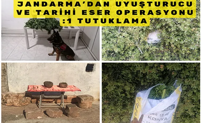 Jandarma’dan uyuşturucu  ve tarihi eser operasyonu:  1 tutuklama