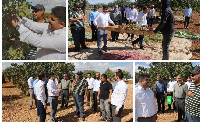 HÜDA PAR Gaziantep İl Başkanı Göçer: Çiftçi emeğinin karşılığını alamıyor