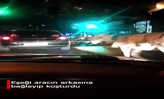 Eşeği aracın arkasına bağlayıp koşturdu