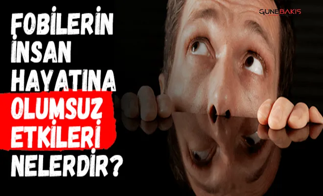 Fobilerin insan hayatına olumsuz etkileri nelerdir?