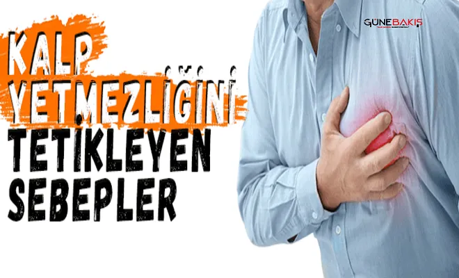 Kalp yetmezliğini tetikleyen sebepler