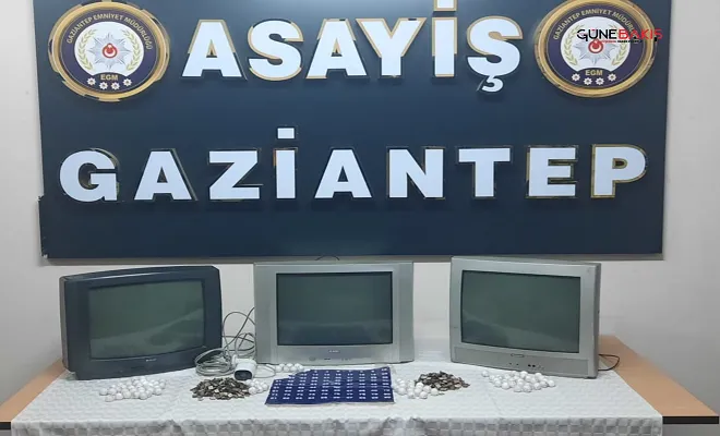 Gaziantep’te kumar operasyonu: 46 gözaltı