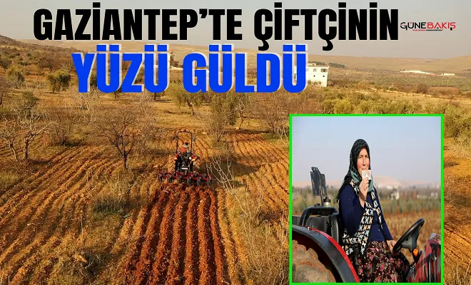 Gaziantep’te çiftçinin yüzü güldü