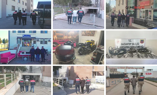 Gaziantep’te  Jandarma’dan hırsızlara operasyon:  31 gözaltı