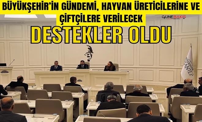 Büyükşehir’in gündemi, hayvan üreticilerine ve çiftçilere verilecek destekler oldu