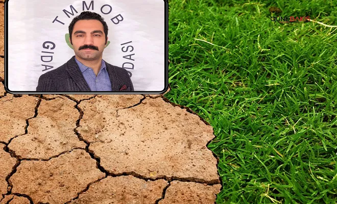 Türkiye'de yaşanan kuraklığın gıdaya yansımaları