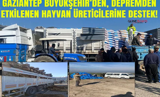 Gaziantep Büyükşehir’den, depremden etkilenen hayvan üreticilerine destek!