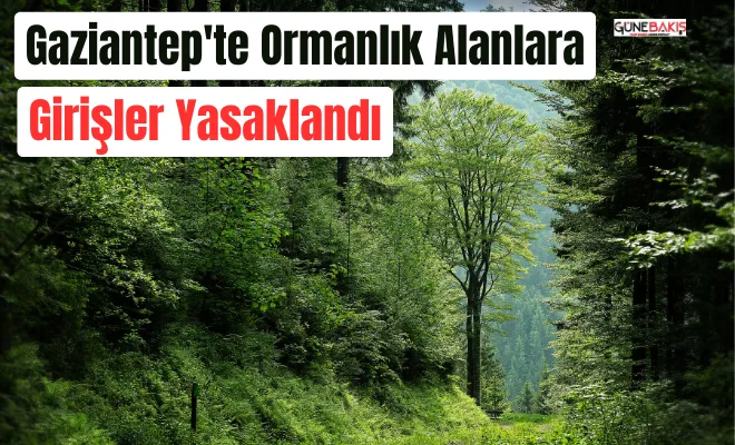 Gaziantep'te ormanlık alanlara girişler yasaklandı
