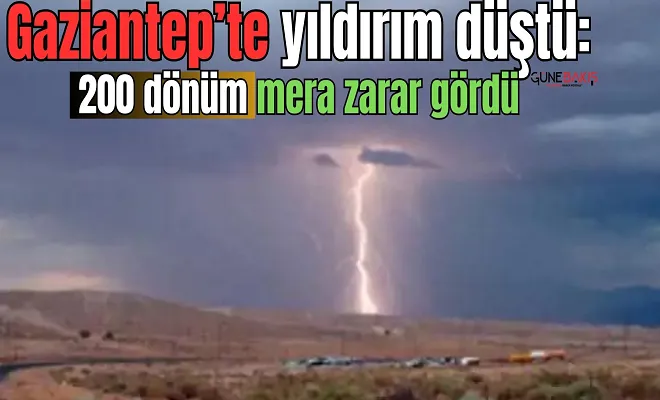 Gaziantep’te yıldırım düştü: 200 dönüm mera zarar gördü