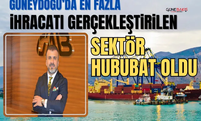 Güneydoğu’da en fazla ihracatı gerçekleştirilen sektör hububat oldu