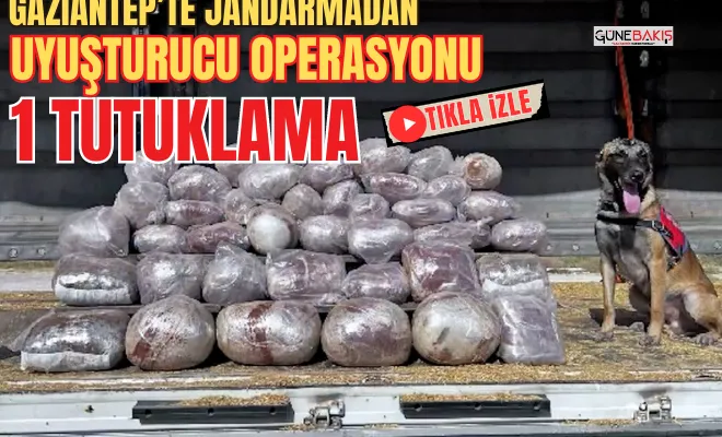 Gaziantep’te Jandarmadan uyuşturucu operasyonu: 1 tutuklama
