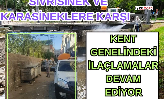 Sivrisinek ve karasineklere karşı kent genelindeki ilaçlamalara devam ediliyor
