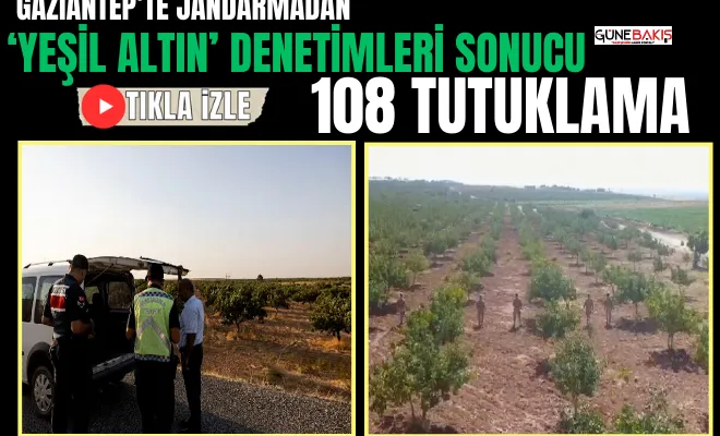 Gaziantep'te Jandarmadan ‘Yeşil Altın’ denetimleri sonucu 108 tutuklama