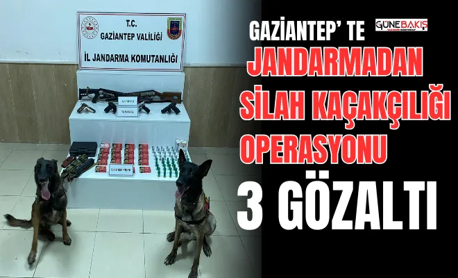 Gaziantep’ te Jandarmadan silah kaçakçılığı operasyonu: 3 gözaltı