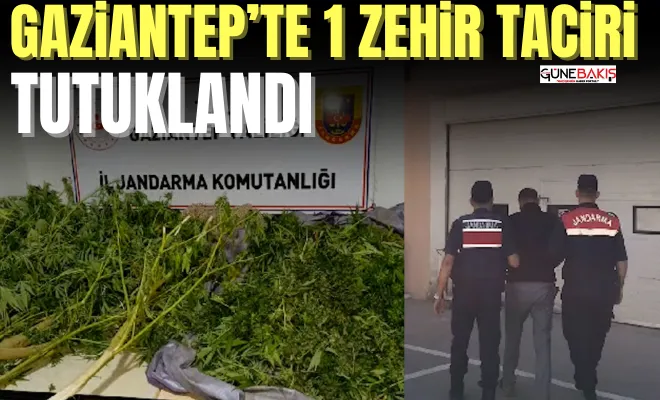 Gaziantep’te 1 zehir taciri tutuklandı