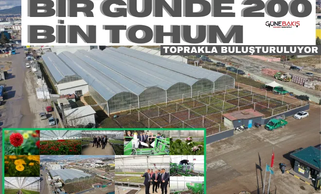 Şehitkamil’de bir günde 200 bin tohum toprakla buluşturuluyor