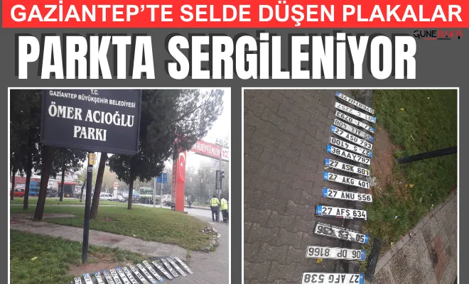 Gaziantep’te selde düşen plakalar parkta sergileniyor