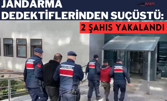 Jandarma dedektiflerinden suçüstü: 2 şahıs yakalandı