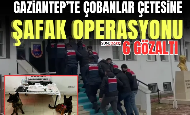 Gaziantep’te çobanlar çetesine şafak operasyonu: 6 gözaltı