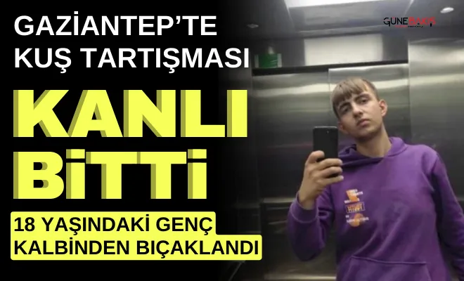 Gaziantep’te kuş tartışması kanlı bitti