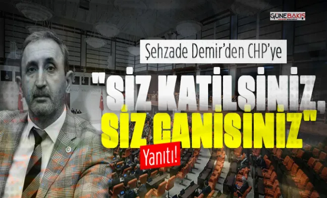 HÜDA PAR Milletvekili Demir, CHP'ye 'siz katilsiniz, siz canisiniz' yanıtı