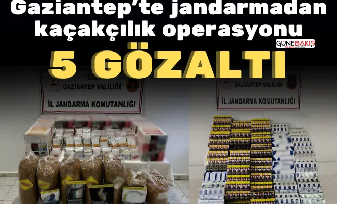 Gaziantep’te jandarmadan kaçakçılık operasyonu: 5 gözaltı