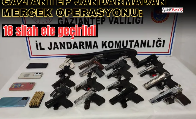 Gaziantep Jandarmadan Mercek Operasyonu: 18 silah ele geçirildi