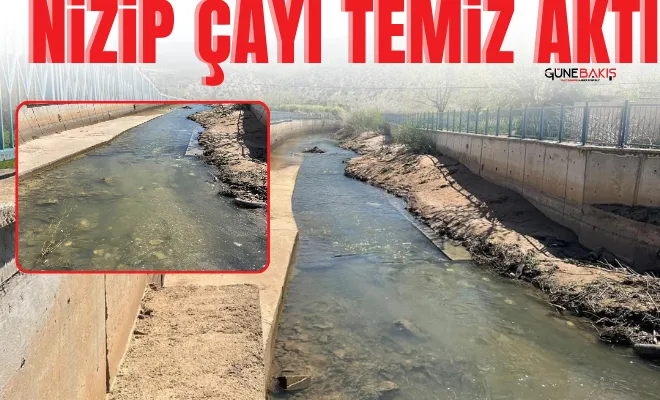 Nizip Çayı temiz aktı