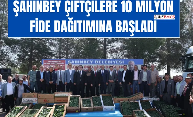 Şahinbey çiftçilere 10 milyon fide dağıtımına başladı