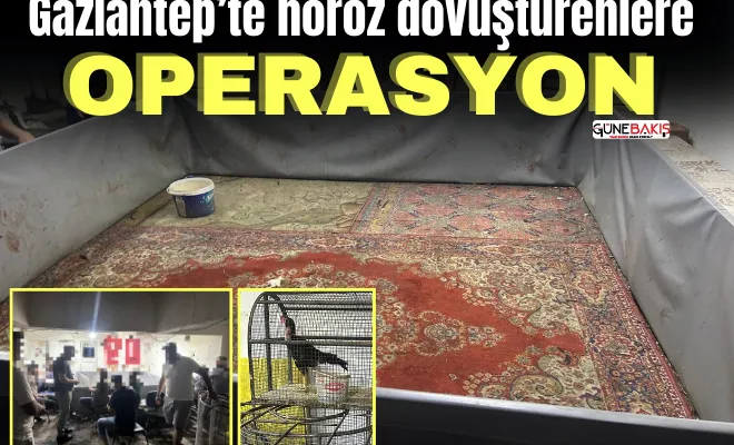 Gaziantep’te horoz dövüştürenlere operasyon